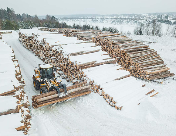 JDB电子(中国区)·官方网站