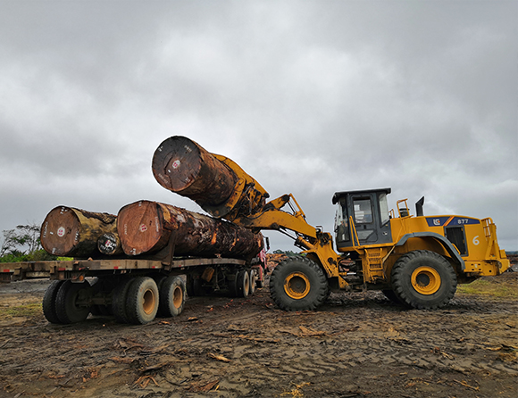 JDB电子(中国区)·官方网站