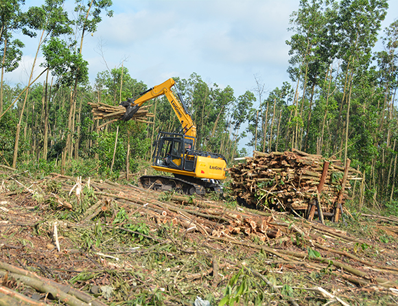 JDB电子(中国区)·官方网站