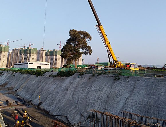 JDB电子(中国区)·官方网站