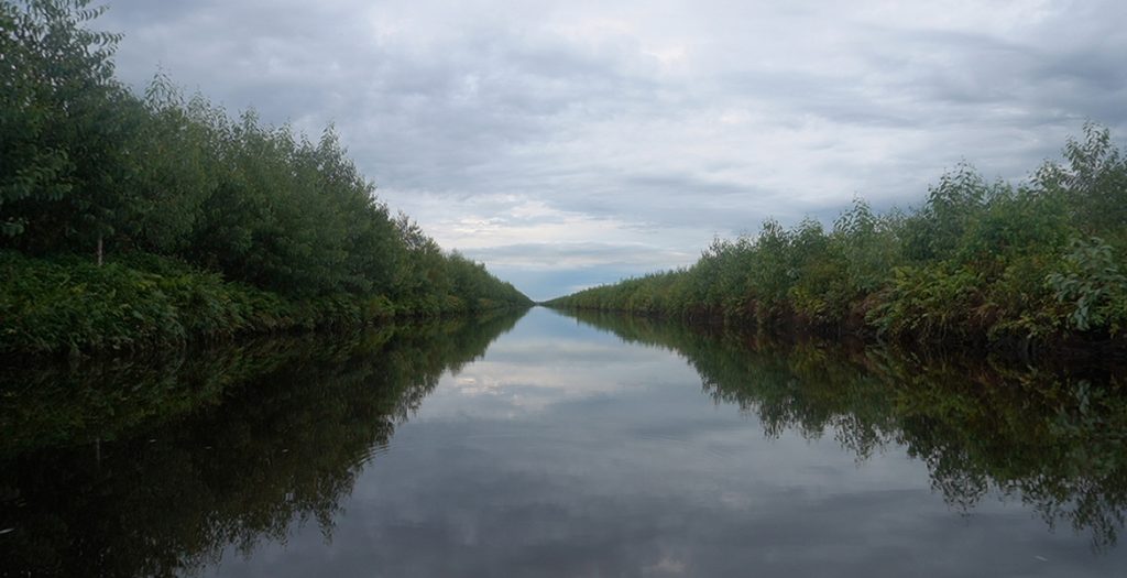 JDB����(�й���)���ٷ���վ