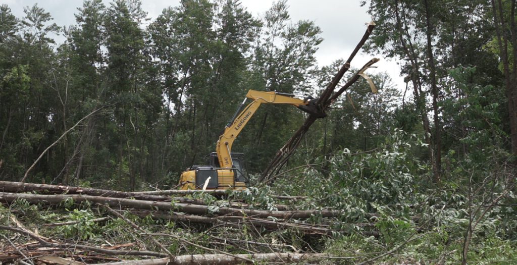 JDB����(�й���)���ٷ���վ