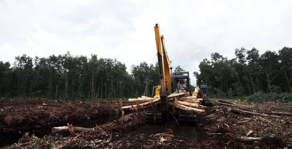 JDB����(�й���)���ٷ���վ