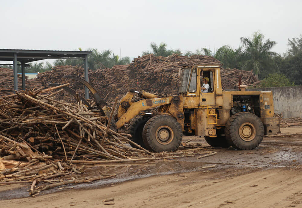 JDB电子(中国区)·官方网站