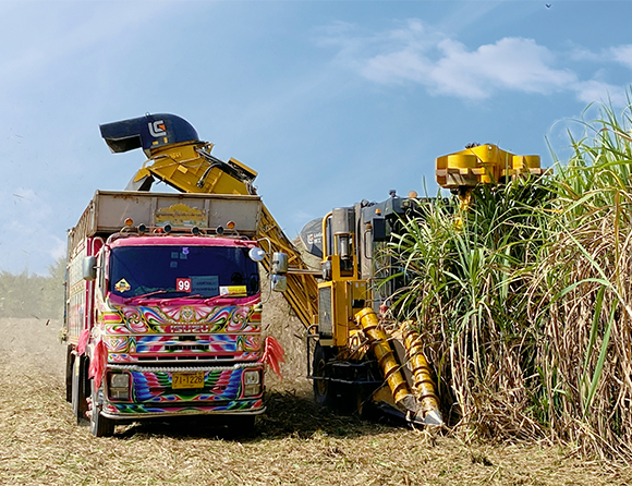 JDB电子(中国区)·官方网站