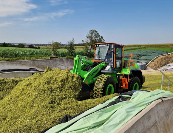 JDB电子(中国区)·官方网站